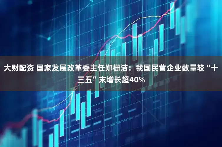 大财配资 国家发展改革委主任郑栅洁：我国民营企业数量较“十三五”末增长超40%